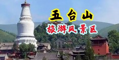 山西五台山旅游风景区